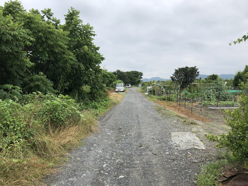 富士川・水神・富士川緑地公園の両岸橋巡り9.7kmの写真4