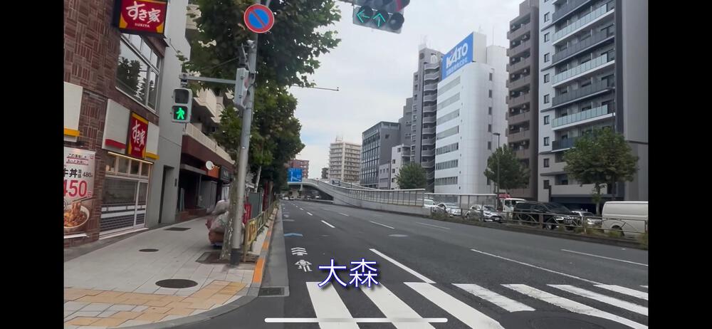 箱根駅伝10区 前半 鶴見中継所→大森の写真11