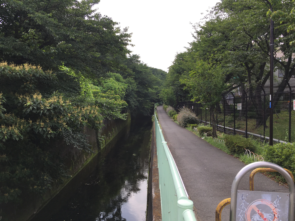上北沢から街中の川沿いにパン屋さん、井の頭公園、ジブリ美術館、神代植物公園、調布飛行場を巡る府中までの街中ランの写真3