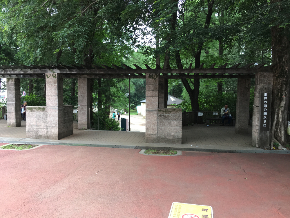 上北沢から街中の川沿いにパン屋さん、井の頭公園、ジブリ美術館、神代植物公園、調布飛行場を巡る府中までの街中ランの写真4