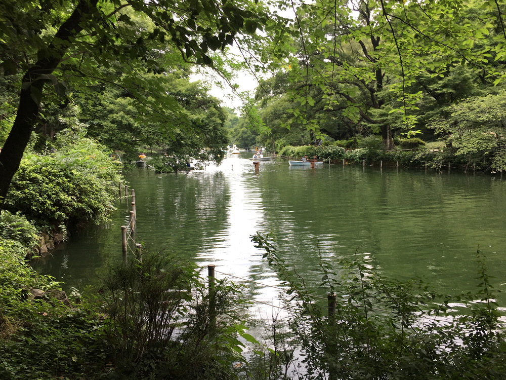 上北沢から街中の川沿いにパン屋さん、井の頭公園、ジブリ美術館、神代植物公園、調布飛行場を巡る府中までの街中ランの写真5