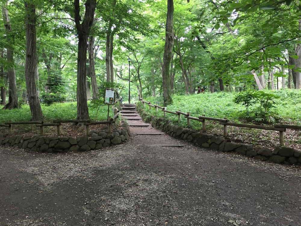 上北沢から街中の川沿いにパン屋さん、井の頭公園、ジブリ美術館、神代植物公園、調布飛行場を巡る府中までの街中ランの写真6