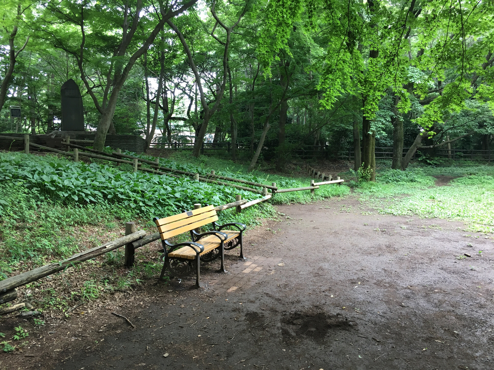 上北沢から街中の川沿いにパン屋さん、井の頭公園、ジブリ美術館、神代植物公園、調布飛行場を巡る府中までの街中ランの写真7