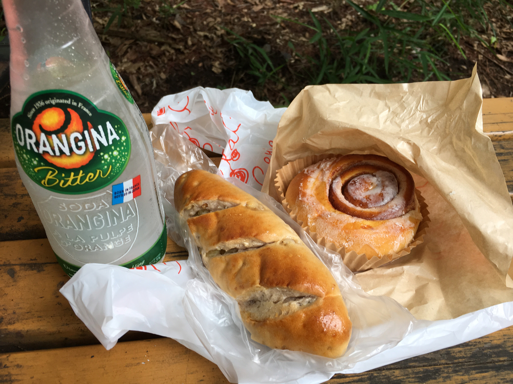 上北沢から街中の川沿いにパン屋さん、井の頭公園、ジブリ美術館、神代植物公園、調布飛行場を巡る府中までの街中ランの写真8