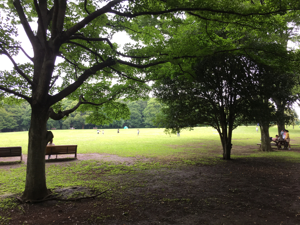 上北沢から街中の川沿いにパン屋さん、井の頭公園、ジブリ美術館、神代植物公園、調布飛行場を巡る府中までの街中ランの写真10