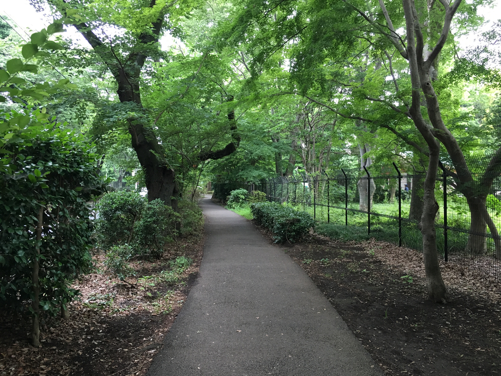 上北沢から街中の川沿いにパン屋さん、井の頭公園、ジブリ美術館、神代植物公園、調布飛行場を巡る府中までの街中ランの写真11