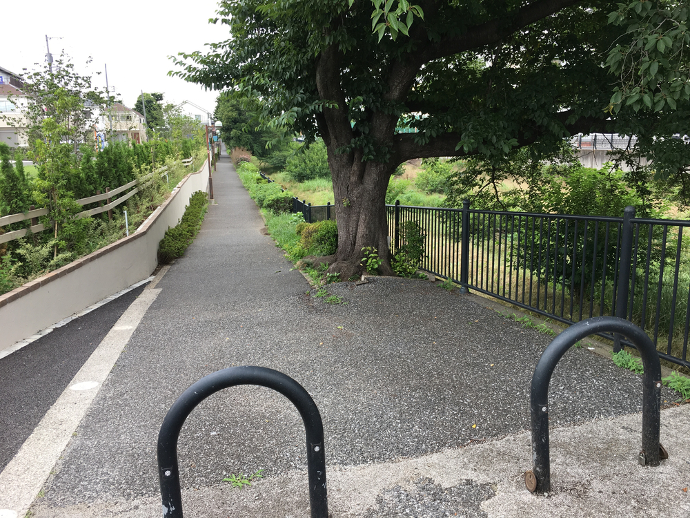 上北沢から街中の川沿いにパン屋さん、井の頭公園、ジブリ美術館、神代植物公園、調布飛行場を巡る府中までの街中ランの写真12