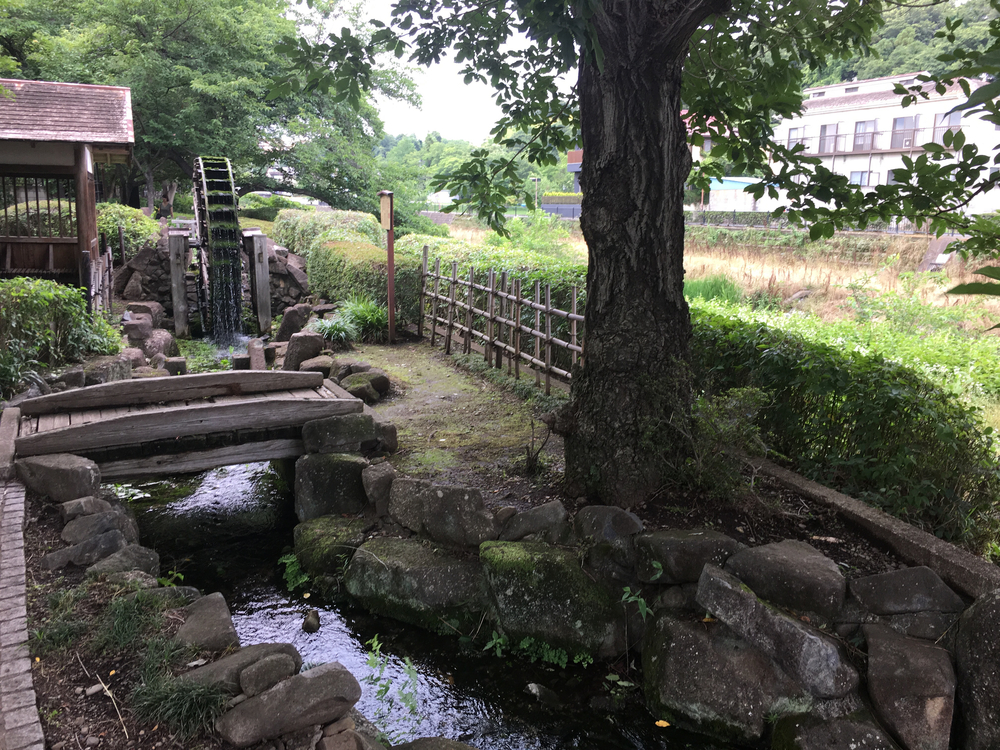 上北沢から街中の川沿いにパン屋さん、井の頭公園、ジブリ美術館、神代植物公園、調布飛行場を巡る府中までの街中ランの写真13