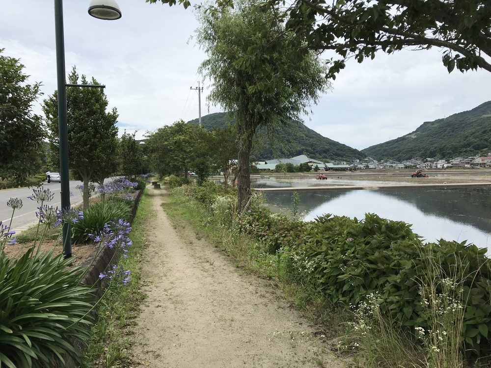 諫早〜小浜町30kmロングランの写真8