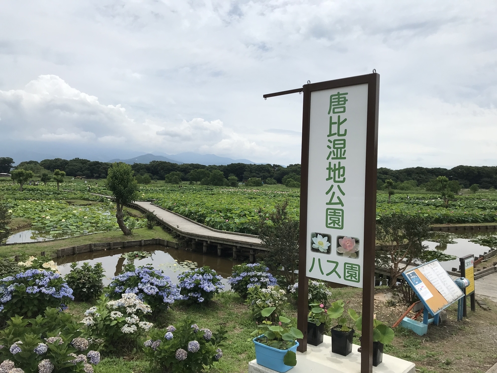諫早〜小浜町30kmロングランの写真11