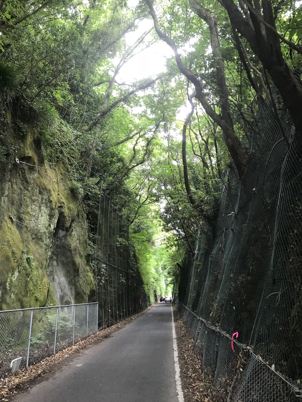 諫早〜小浜町30kmロングランの写真17