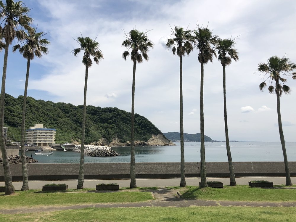 鎌倉・湘南・逗子のビーチや人気レストラン/カフェをめぐる、目移りする13kmコースの写真17