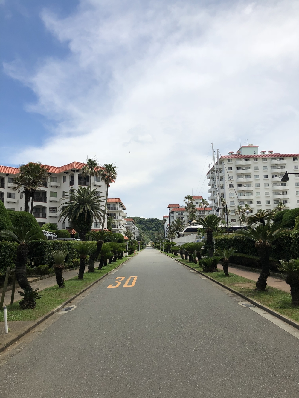 鎌倉・湘南・逗子のビーチや人気レストラン/カフェをめぐる、目移りする13kmコースの写真18