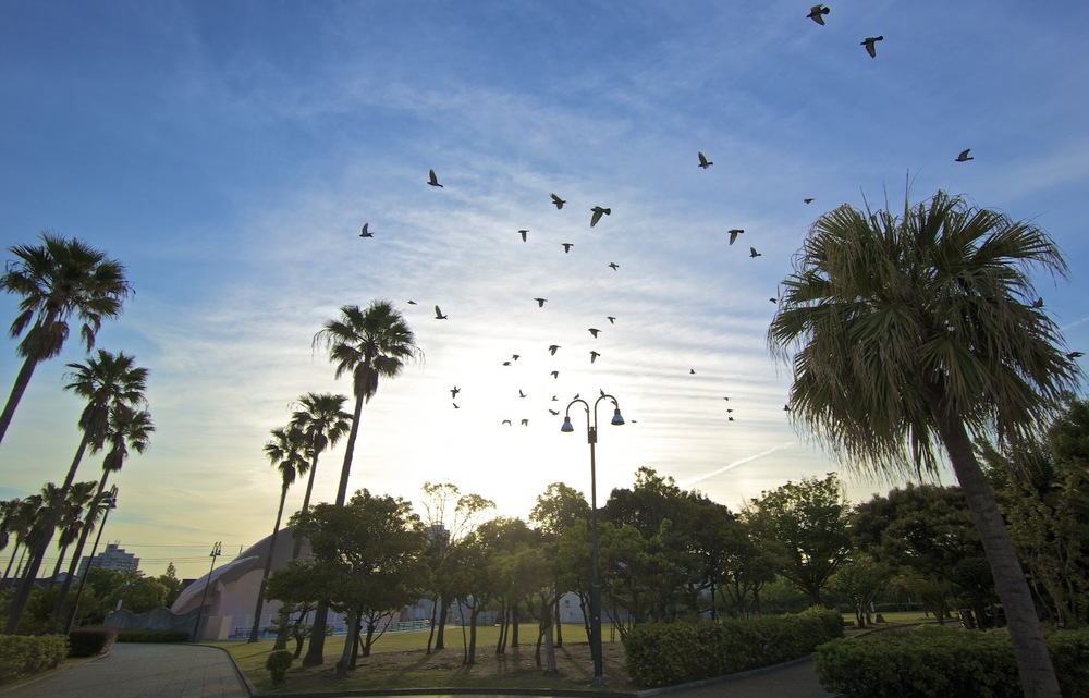 大阪湾を眺められる二色の浜公園の写真3