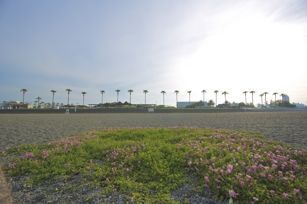 大阪湾を眺められる二色の浜公園の写真4