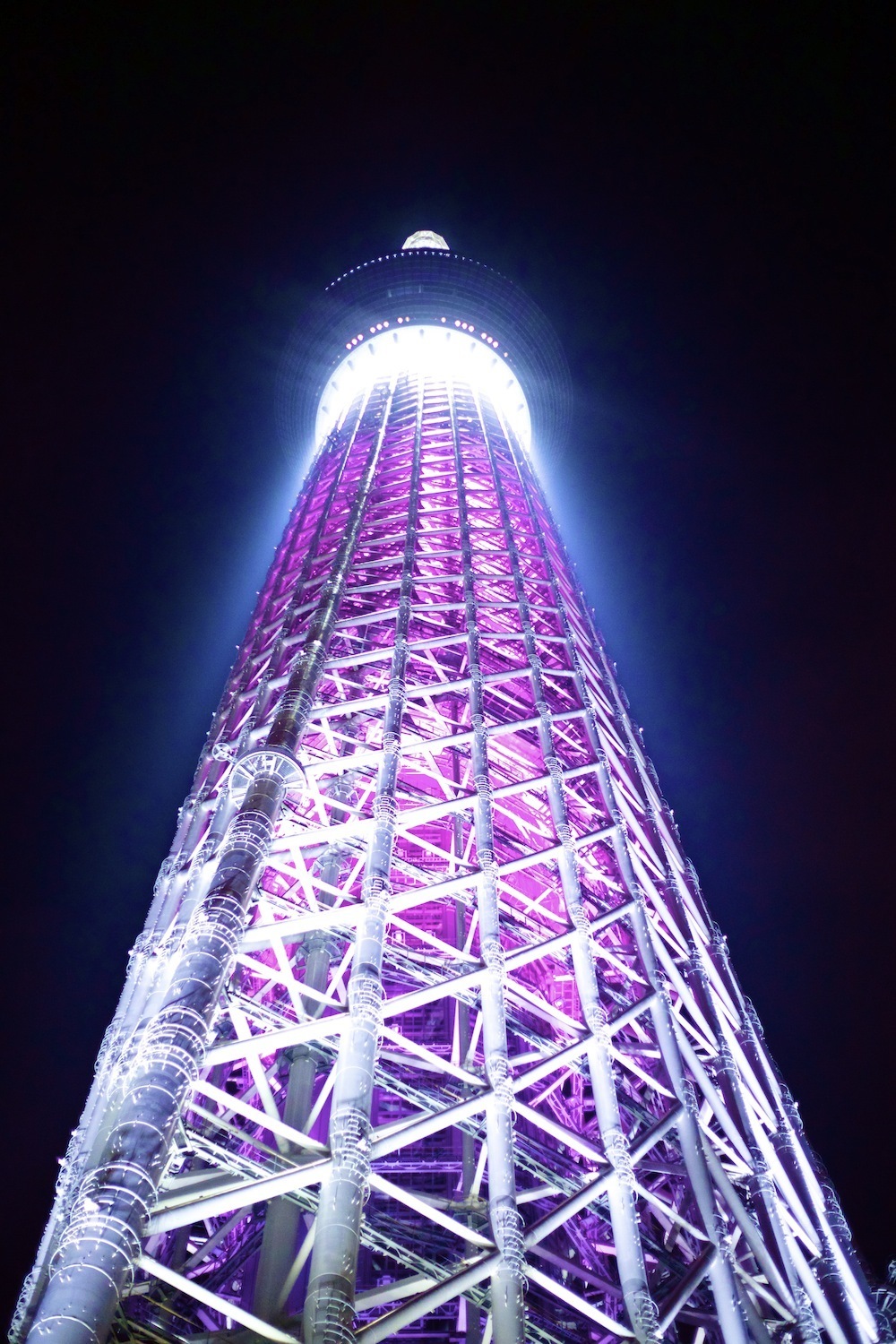 東京スカイツリーを眺めよう。の写真4