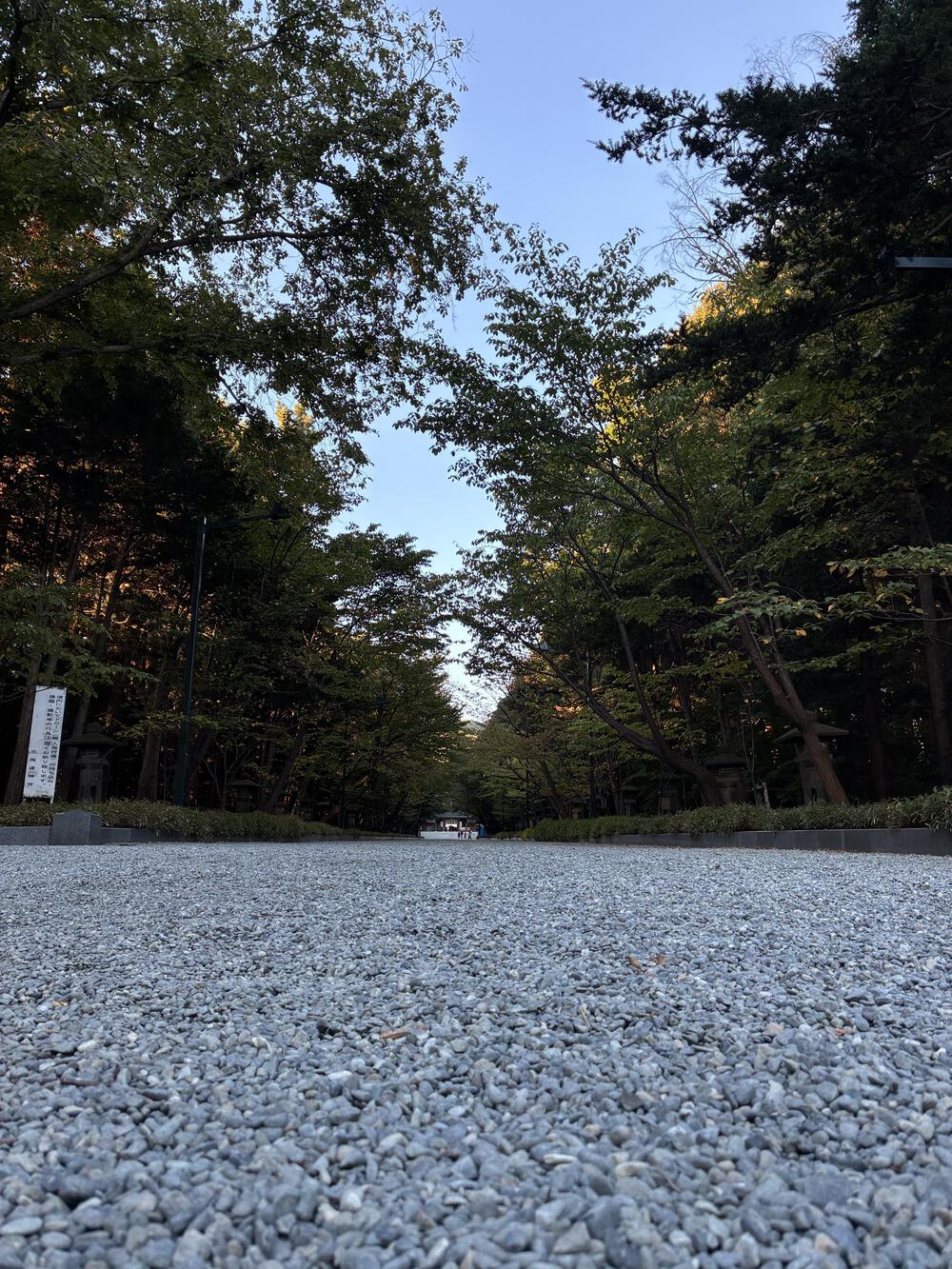 早朝のススキノ大交差点を周る10kmの写真3