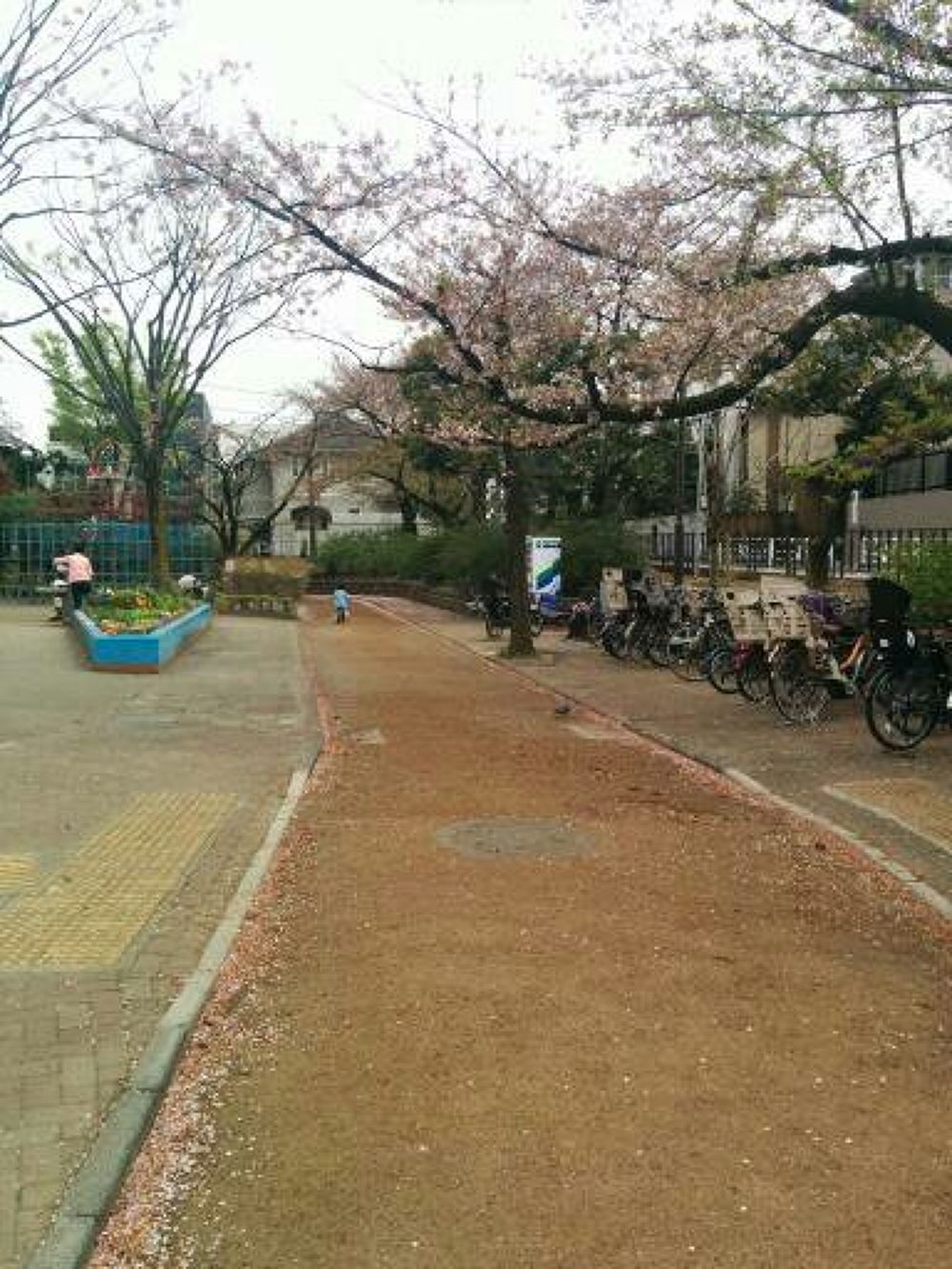 代々木上原・大山公園の写真4