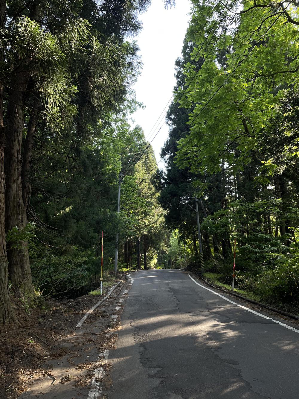 阿賀町で走るならこのルート。麒麟山公園発9.18km周回コースの写真4