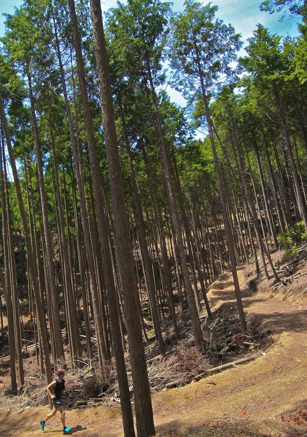 大阪の都心を一望！五月山・箕面トレランの写真7