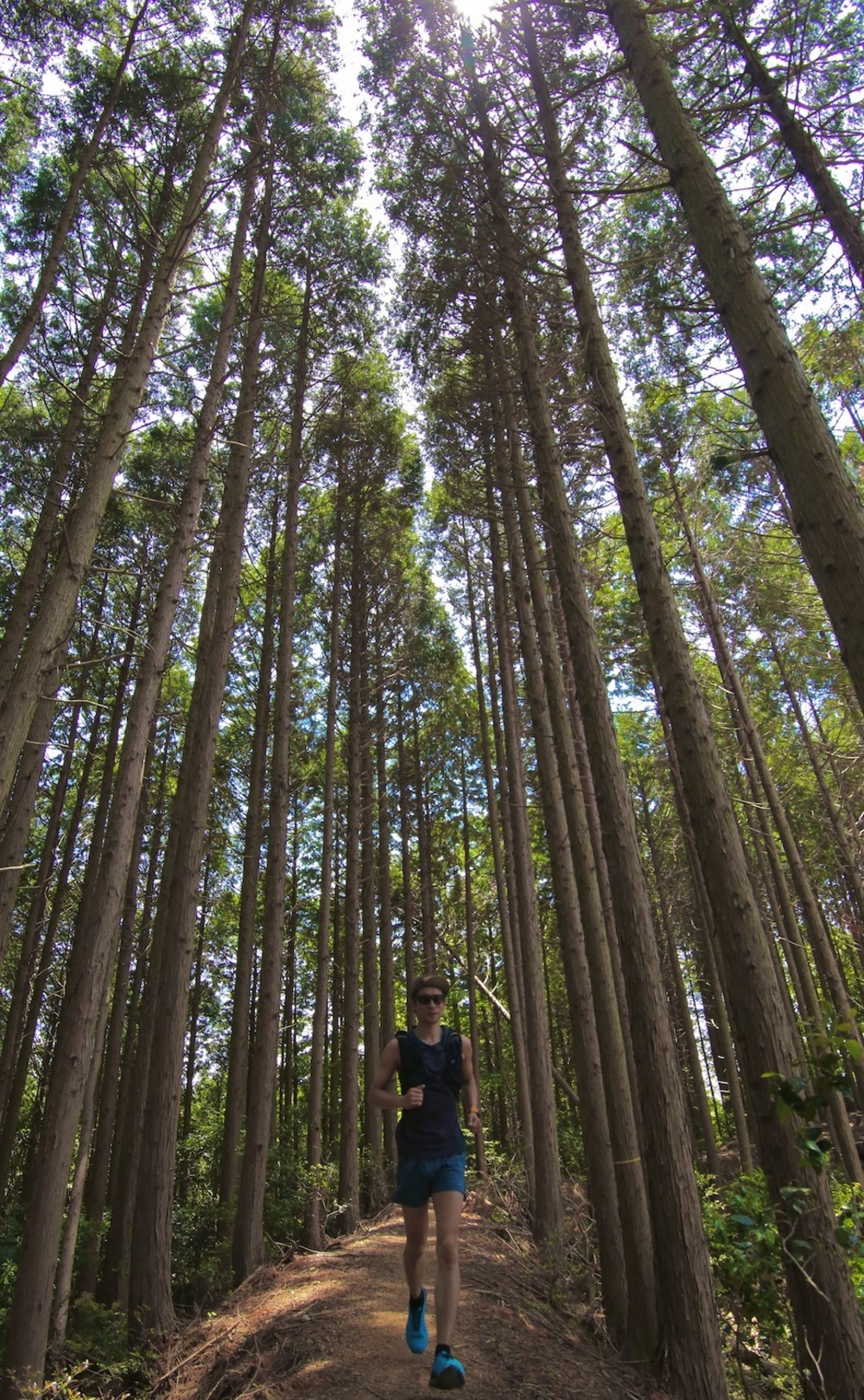 大阪の都心を一望！五月山・箕面トレランの写真9