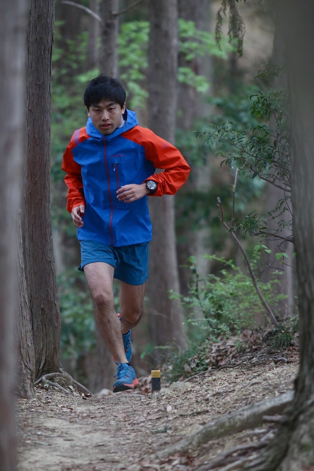 草戸山で城山湖を眺めて、帰る。の写真5