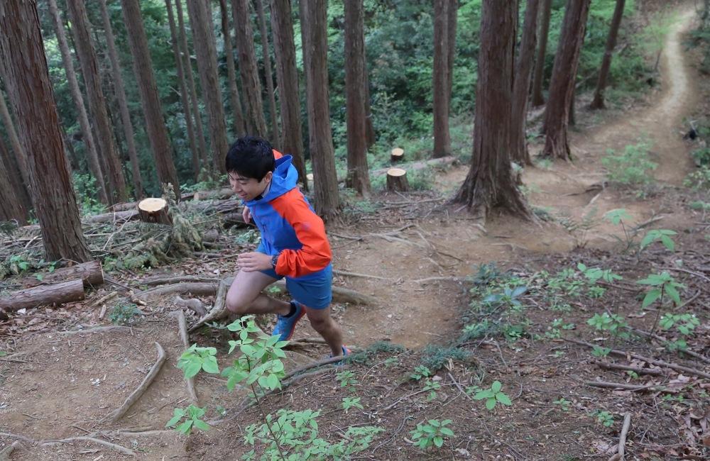 草戸山で城山湖を眺めて、帰る。の写真6