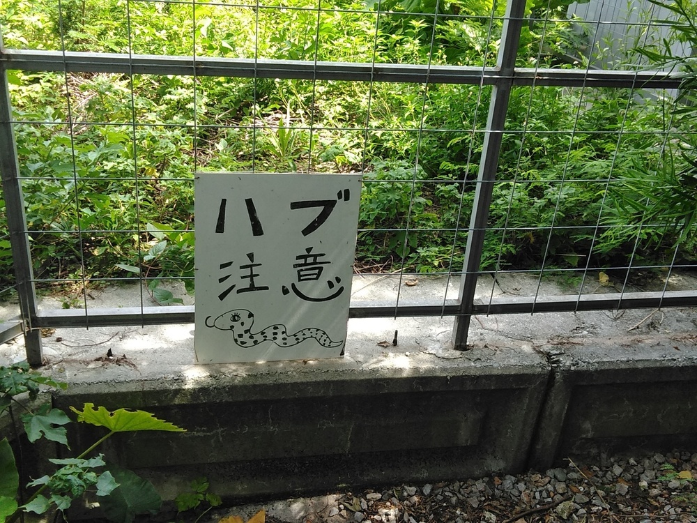 梅雨明けの瀬底島サンセットビーチラン。の写真8