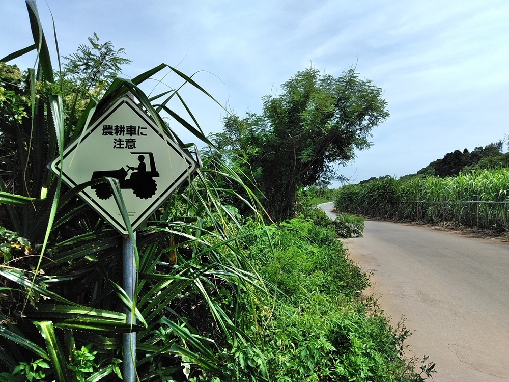 梅雨明けの瀬底島サンセットビーチラン。の写真28