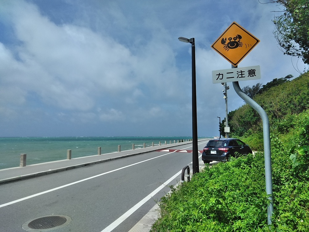 航空機マニア必走！那覇空港～瀬長島の写真9