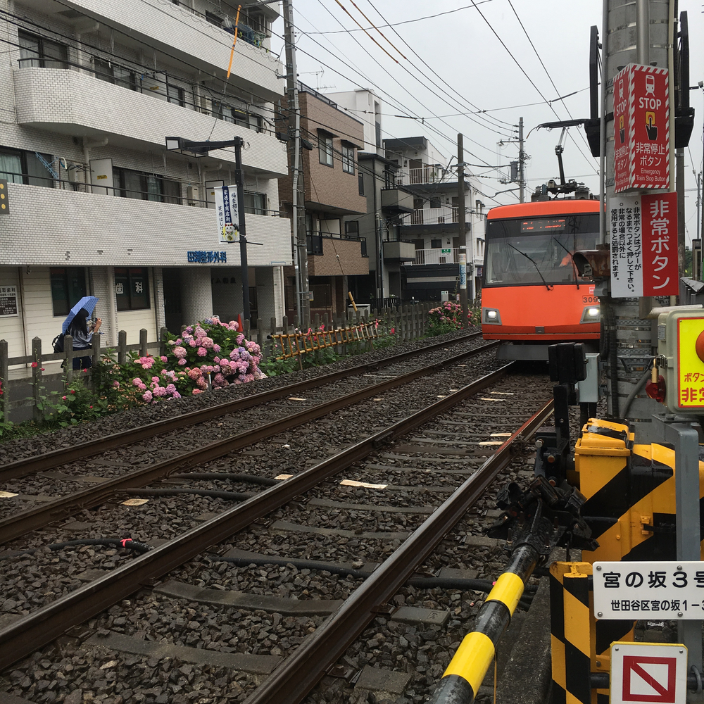 走ってコーヒーめぐり-豪徳寺、松陰神社の写真8