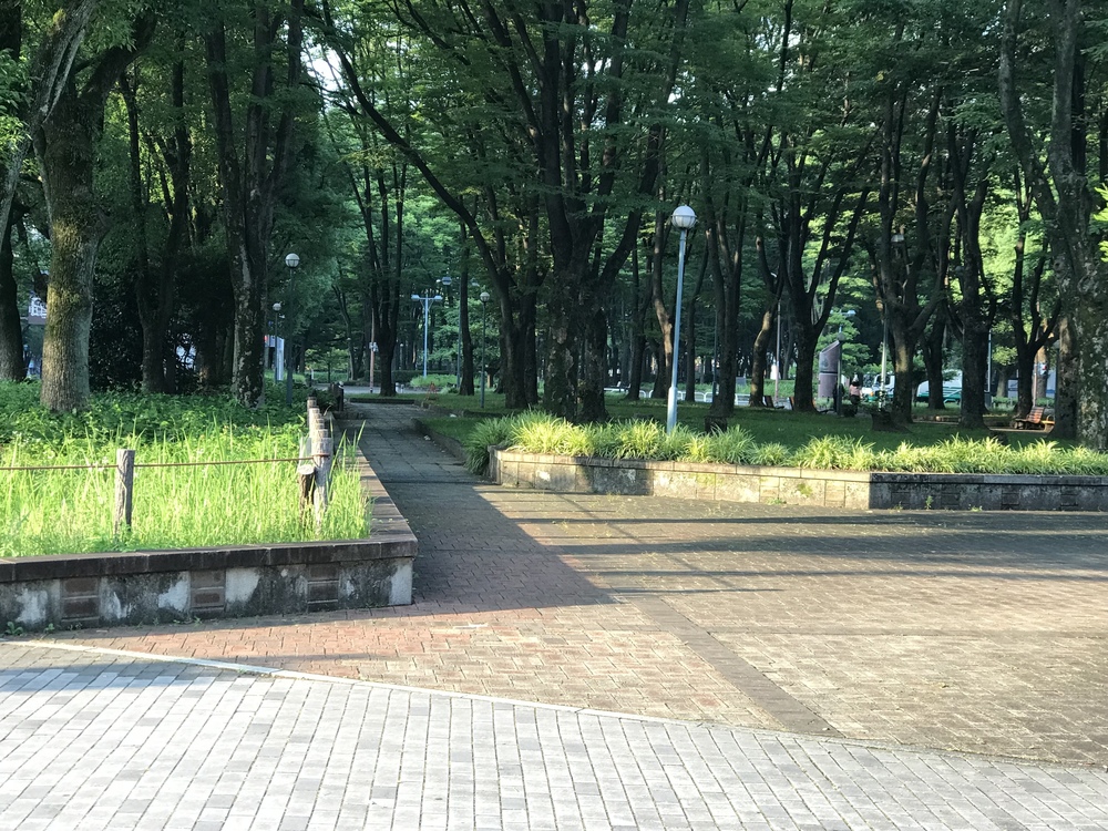 栄から名古屋城を周回ランの写真3