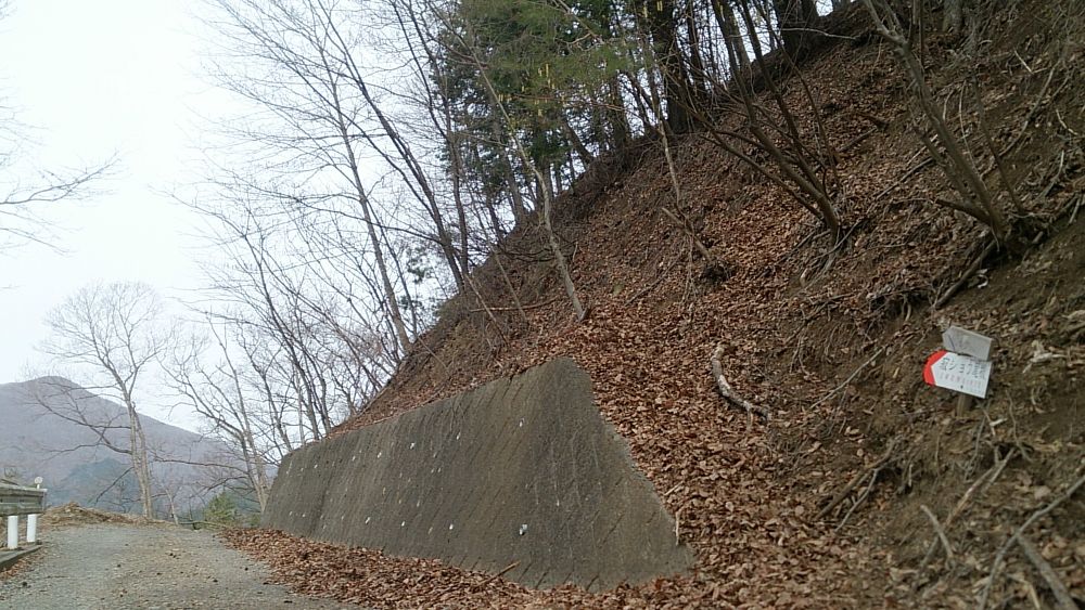 中央線沿線の尖峰「滝子山（１６２０ｍ）」の写真3