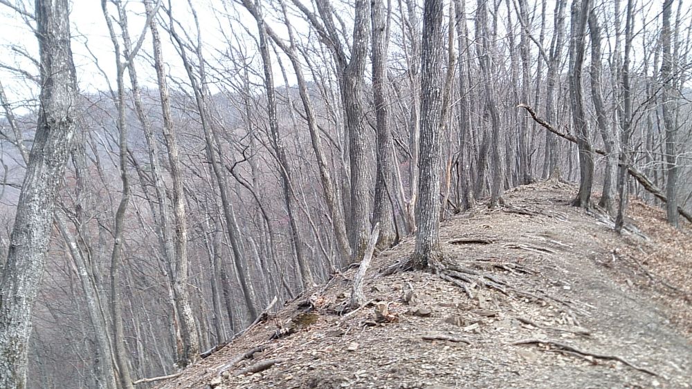 中央線沿線の尖峰「滝子山（１６２０ｍ）」の写真4