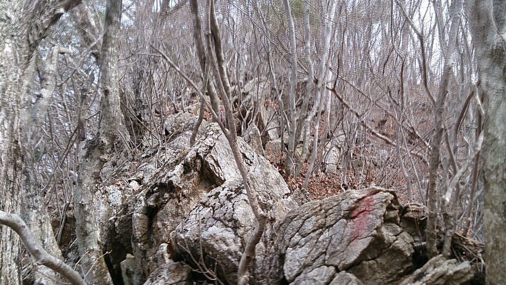 中央線沿線の尖峰「滝子山（１６２０ｍ）」の写真6