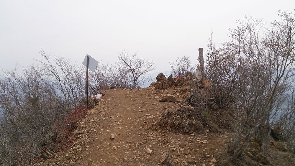 中央線沿線の尖峰「滝子山（１６２０ｍ）」の写真8