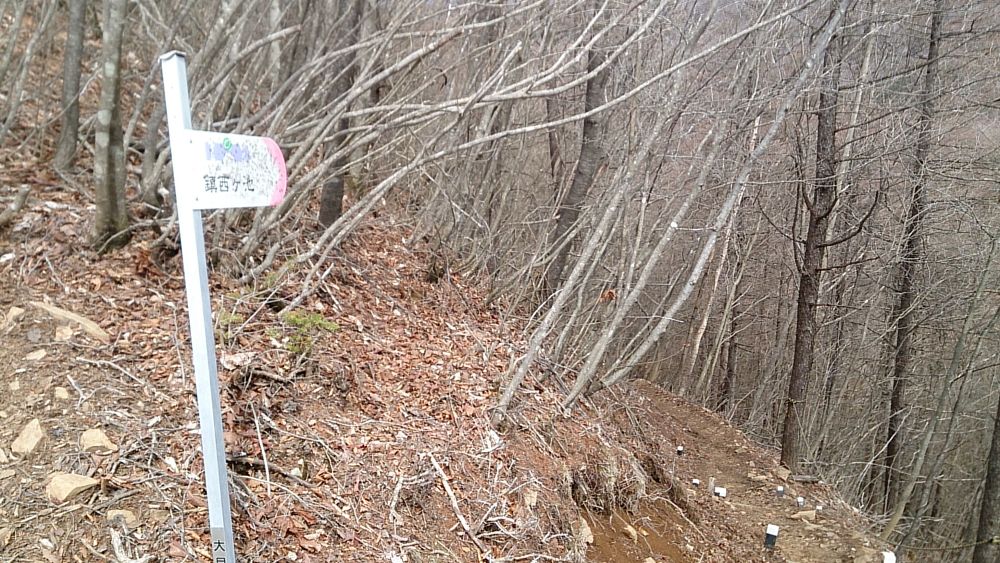 中央線沿線の尖峰「滝子山（１６２０ｍ）」の写真10