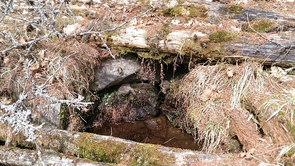 中央線沿線の尖峰「滝子山（１６２０ｍ）」の写真13