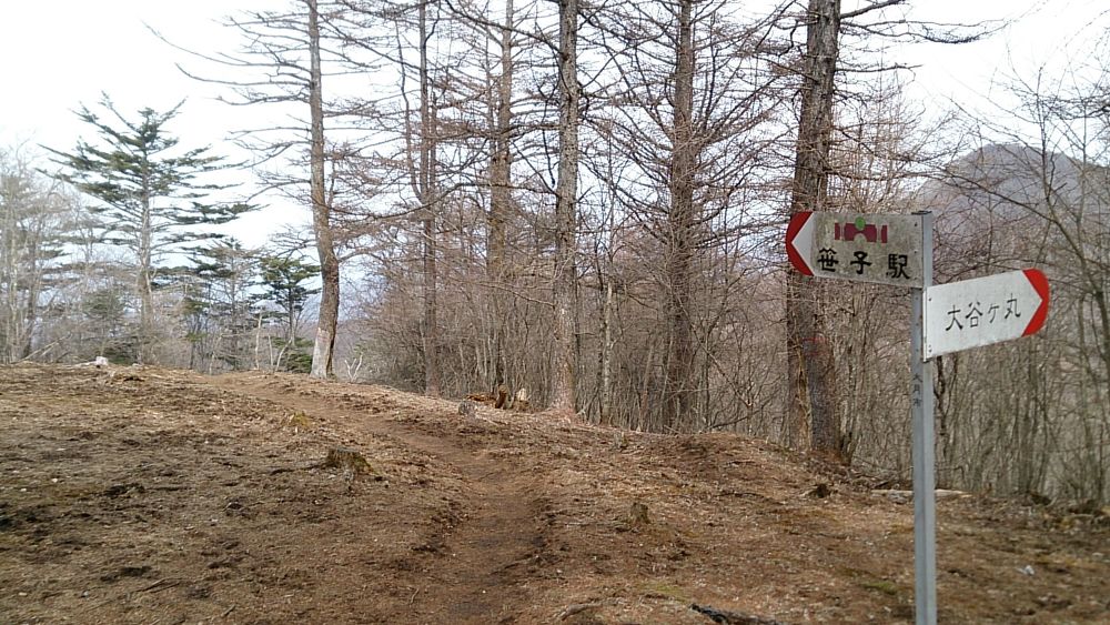 中央線沿線の尖峰「滝子山（１６２０ｍ）」の写真14