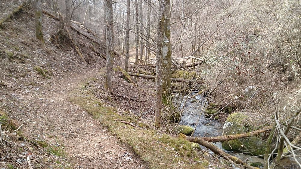 中央線沿線の尖峰「滝子山（１６２０ｍ）」の写真16