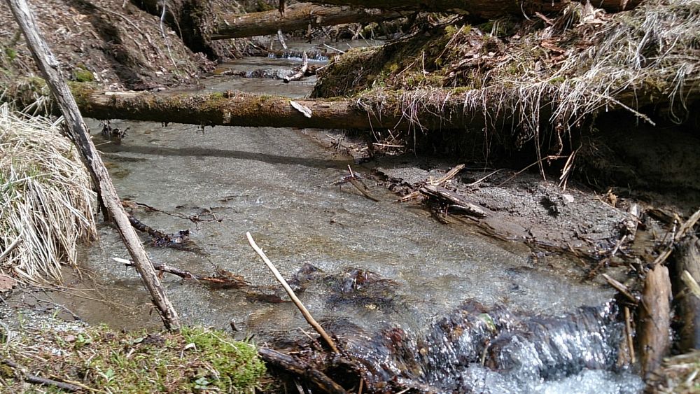 中央線沿線の尖峰「滝子山（１６２０ｍ）」の写真17