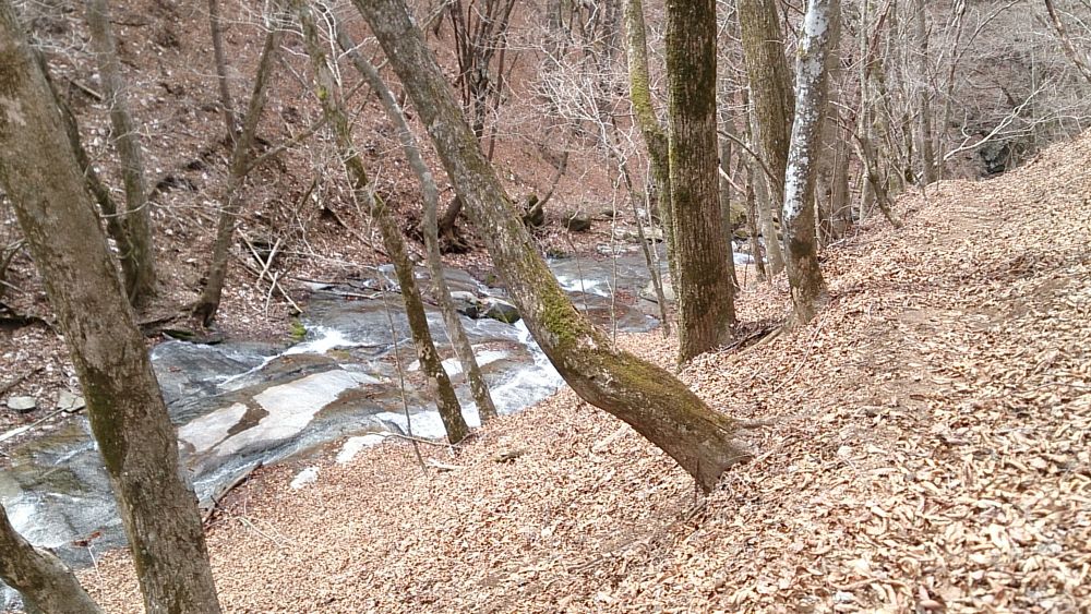 中央線沿線の尖峰「滝子山（１６２０ｍ）」の写真18
