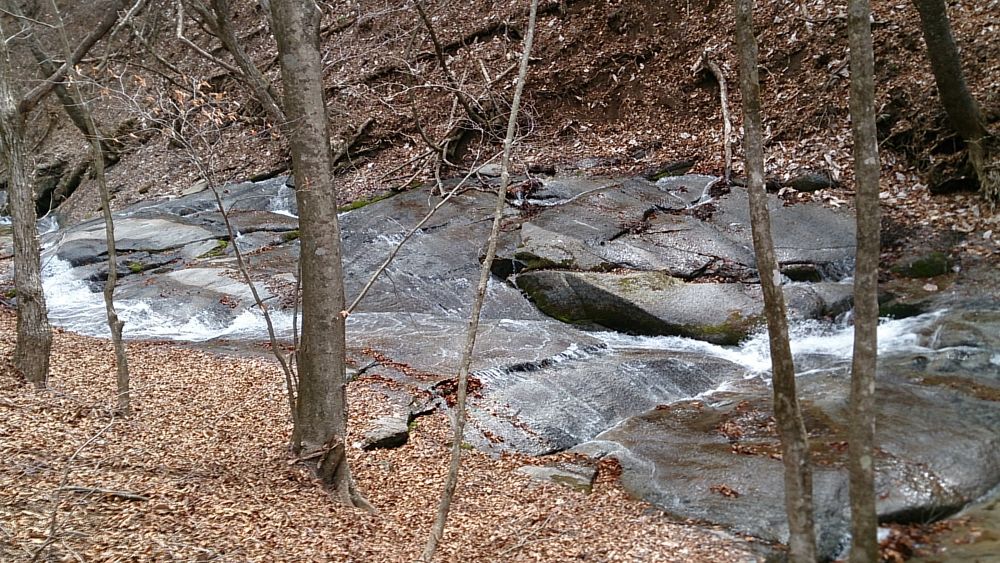 中央線沿線の尖峰「滝子山（１６２０ｍ）」の写真19