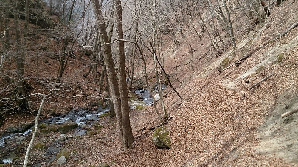 中央線沿線の尖峰「滝子山（１６２０ｍ）」の写真21