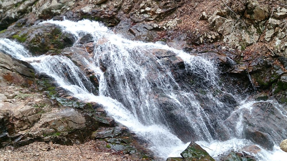 中央線沿線の尖峰「滝子山（１６２０ｍ）」の写真22