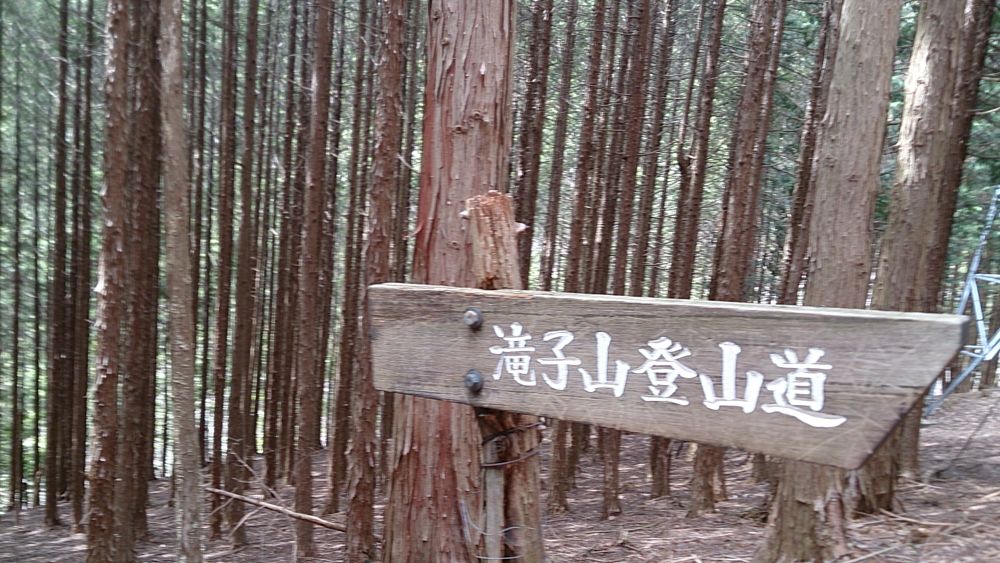 中央線沿線の尖峰「滝子山（１６２０ｍ）」の写真23