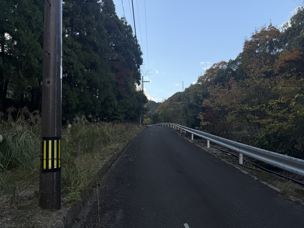 【トレイル2発】京都から亀岡【ハーフマラソン】の写真3