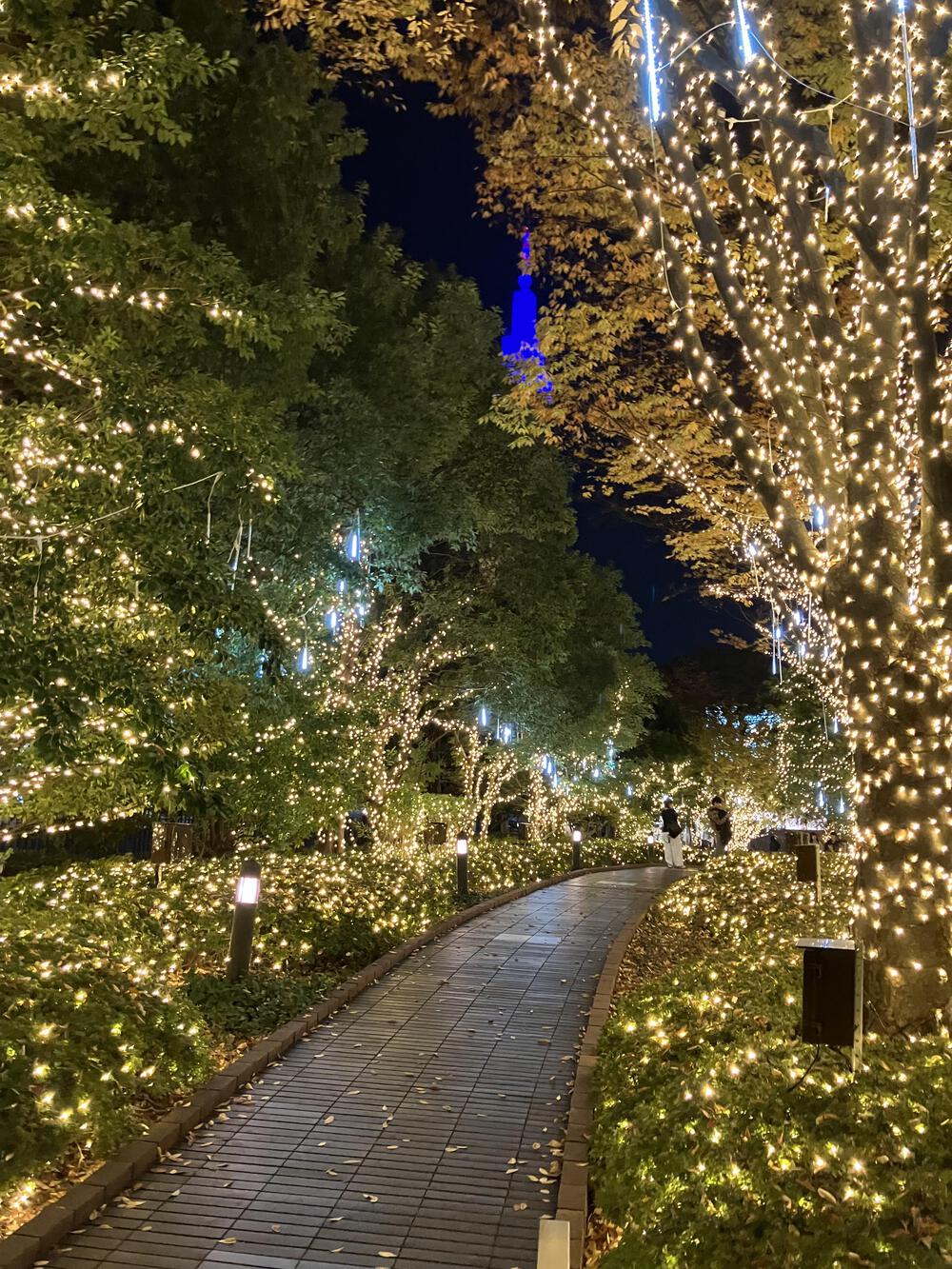 松本湯から新宿イルミランの写真4