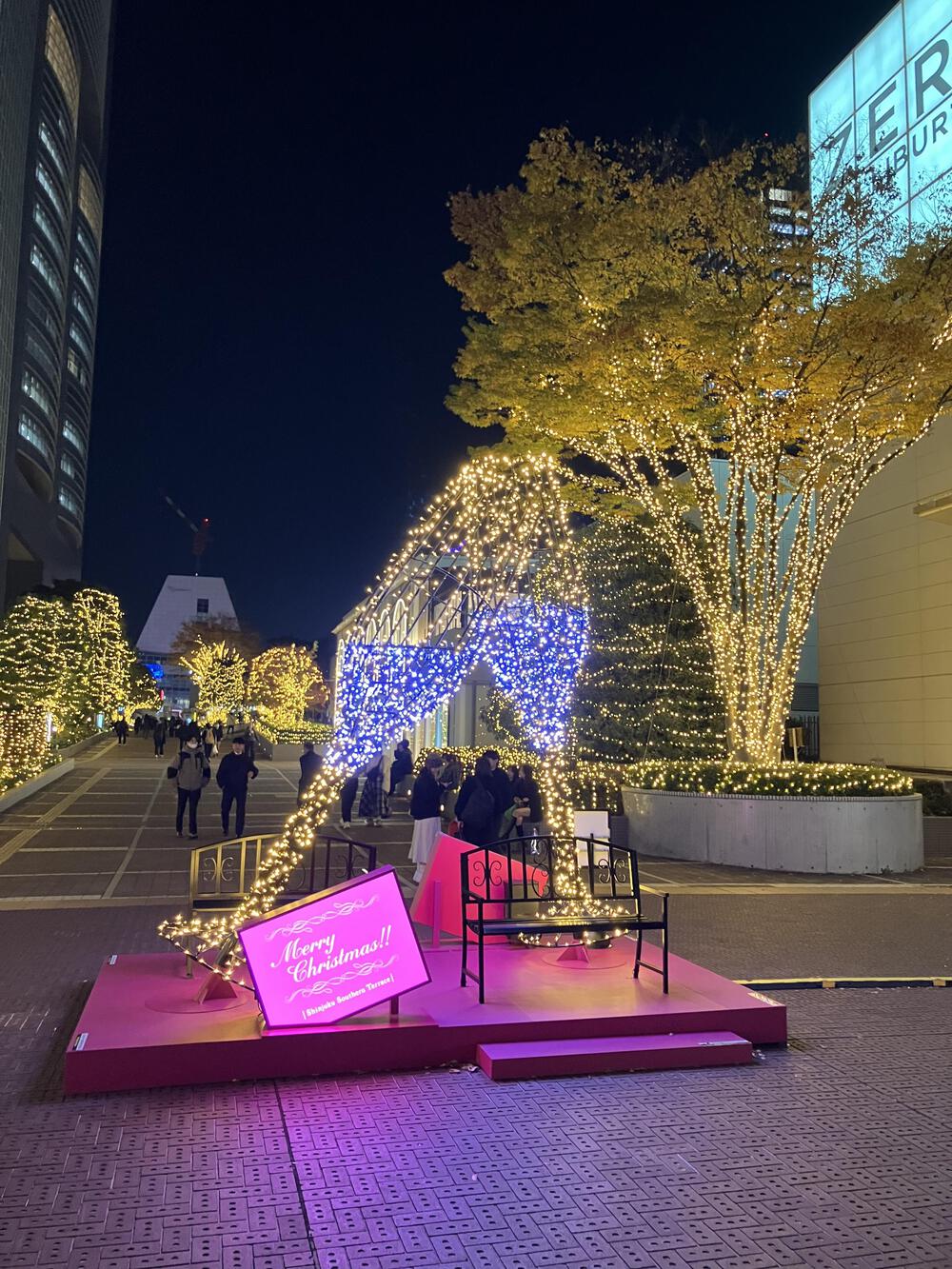 松本湯から新宿イルミランの写真5