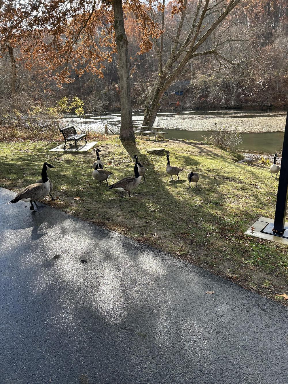 自然を満喫North Park in Pittsburghの写真3